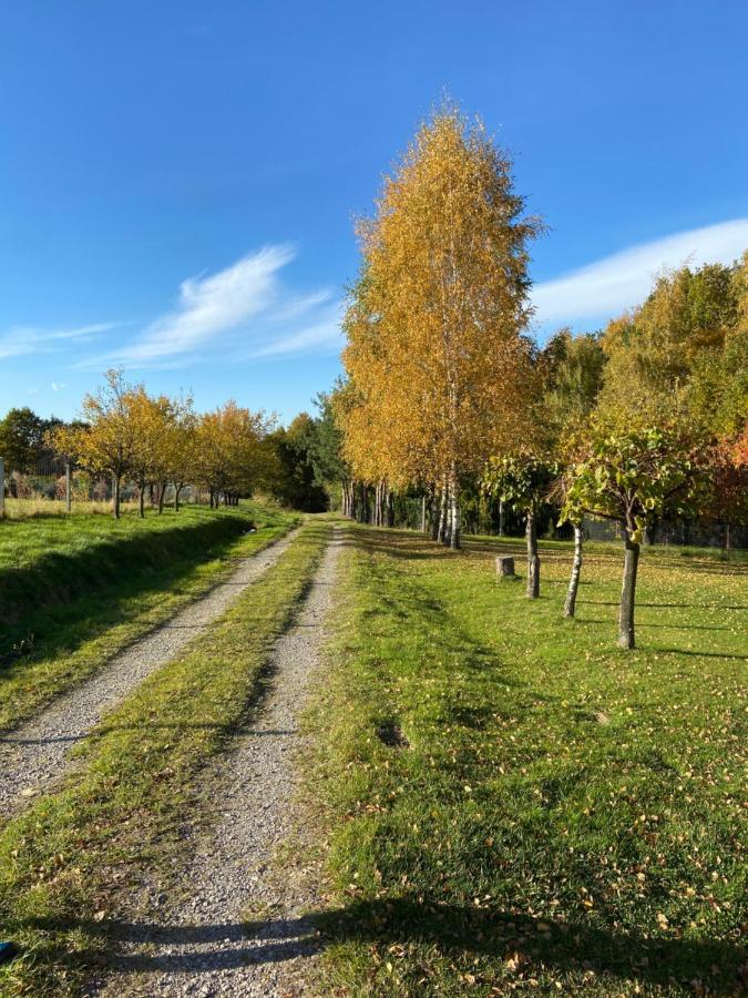 Szmaragdowy Domek Nowy Wisnicz Экстерьер фото