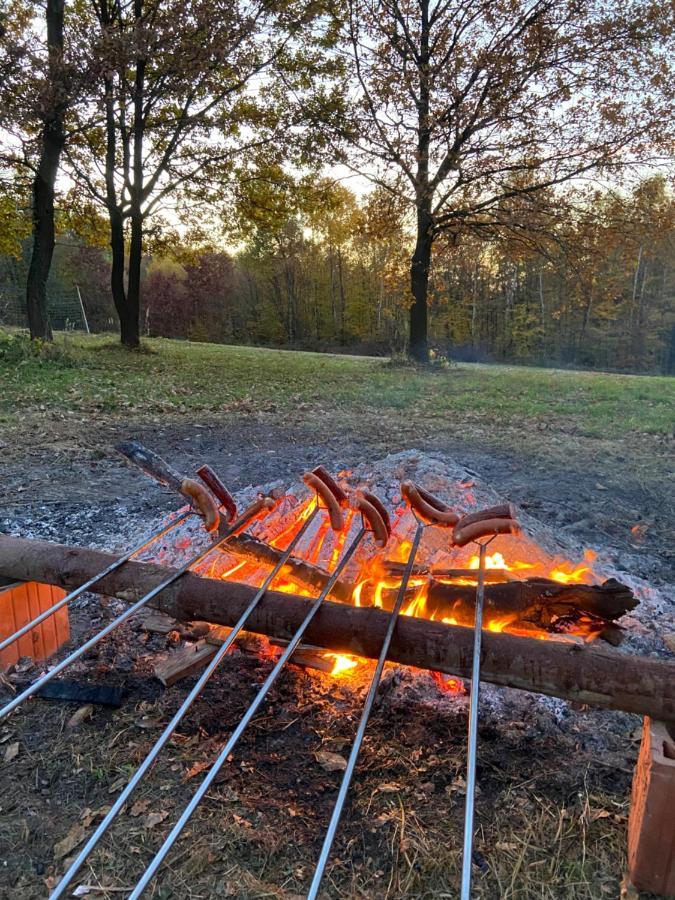 Szmaragdowy Domek Nowy Wisnicz Экстерьер фото